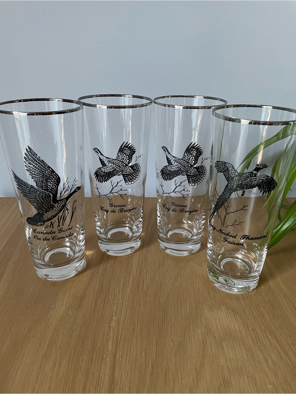Vintage Federal Glass Sportsman Game Bird Highball Glasses Silver Rim Set of 4